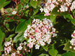 220621-gallery-4